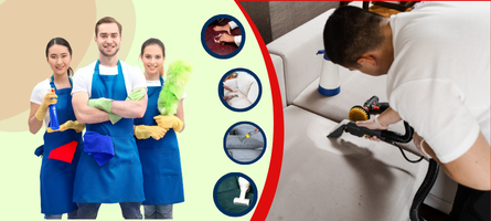 Couch Cleaning Elanora